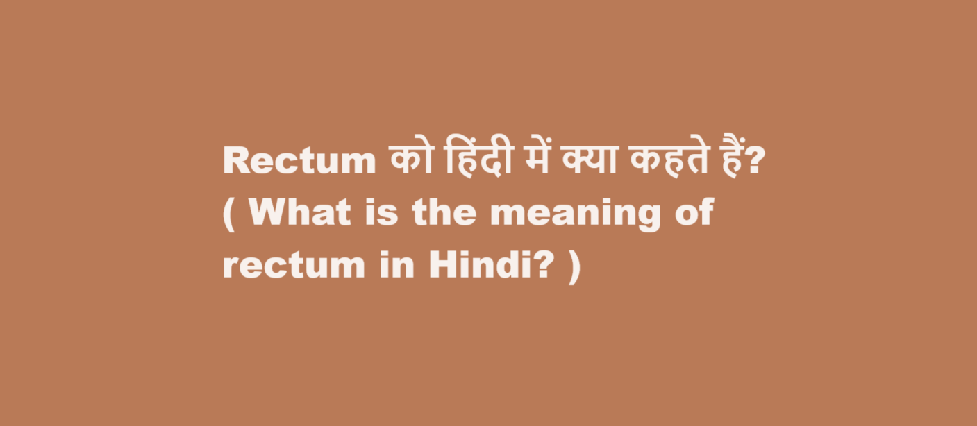 Rectum को हिंदी में क्या कहते हैं? ( What is the meaning of rectum in Hindi? )