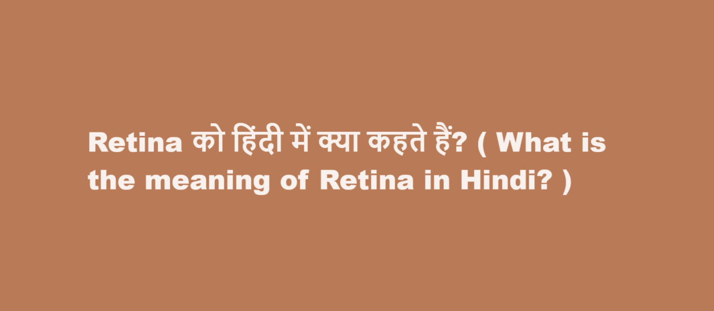 Retina को हिंदी में क्या कहते हैं? ( What is the meaning of Retina in Hindi? )