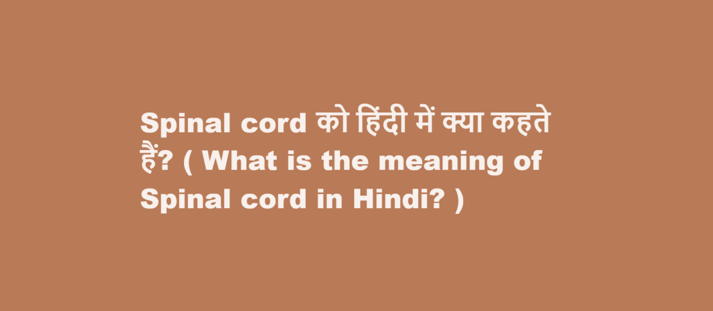 Spinal cord को हिंदी में क्या कहते हैं? ( What is the meaning of Spinal cord in Hindi? )