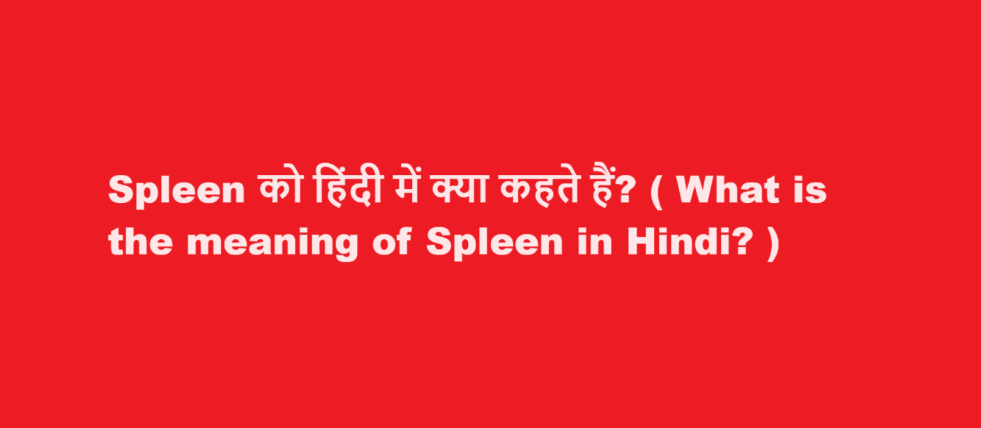 Spleen को हिंदी में क्या कहते हैं? ( What is the meaning of Spleen in Hindi? )