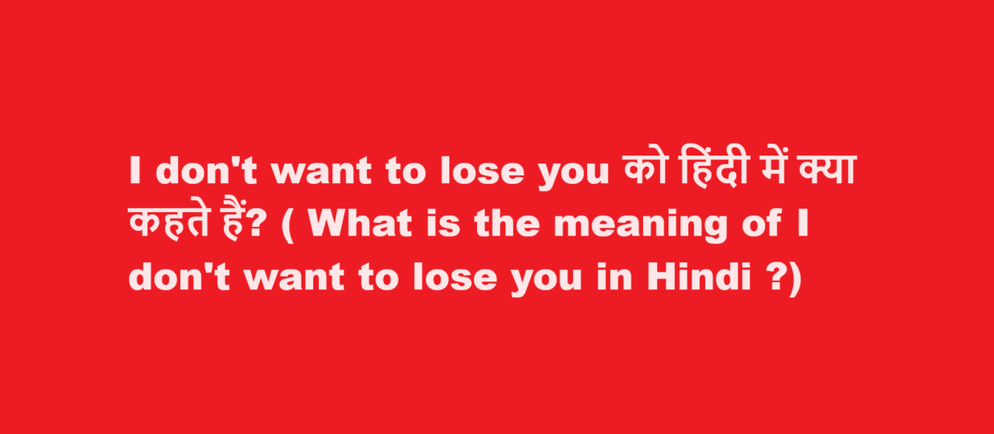 I don’t want to lose you को हिंदी में क्या कहते हैं? ( What is the meaning of I don’t want to lose you in Hindi ?)