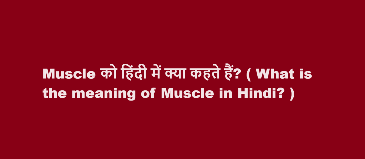 Muscle को हिंदी में क्या कहते हैं? ( What is the meaning of Muscle in Hindi? )