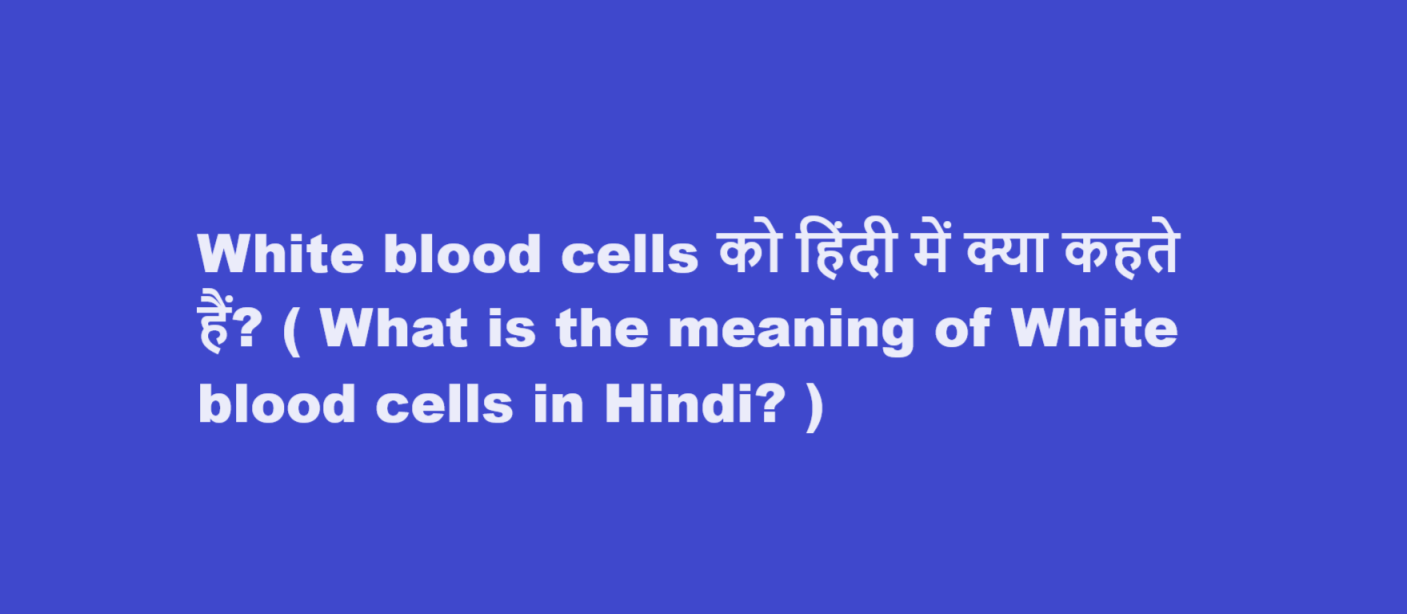 White blood cells को हिंदी में क्या कहते हैं? ( What is the meaning of White blood cells in Hindi? )