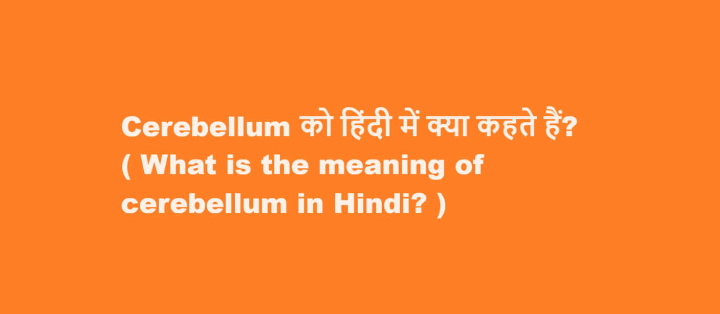 Cerebellum को हिंदी में क्या कहते हैं? ( What is the meaning of cerebellum in Hindi? )