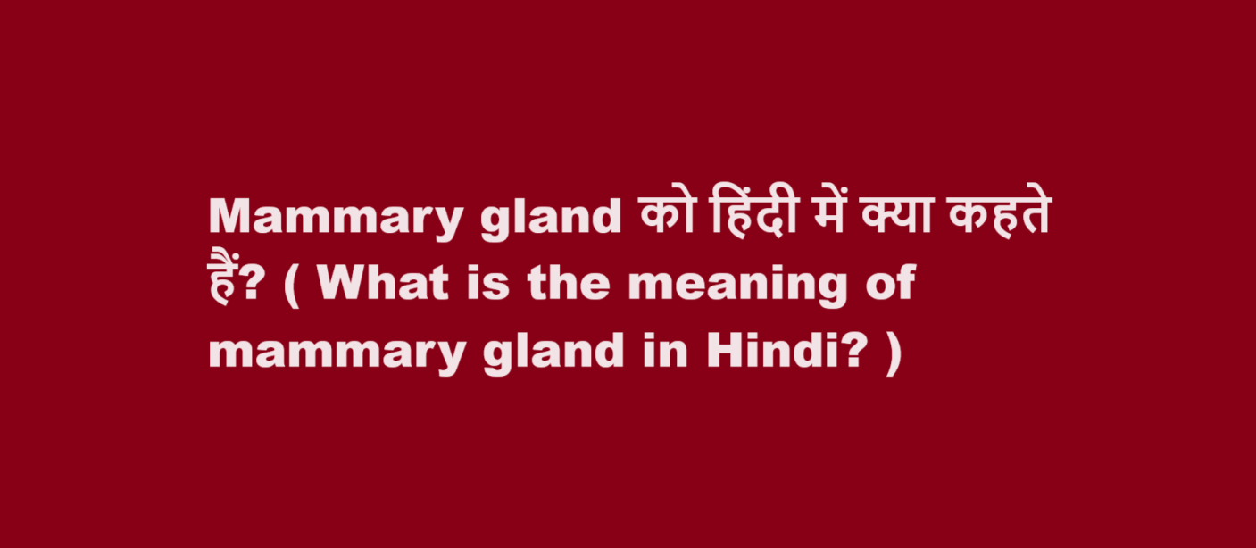 Mammary gland को हिंदी में क्या कहते हैं? ( What is the meaning of mammary gland in Hindi? )