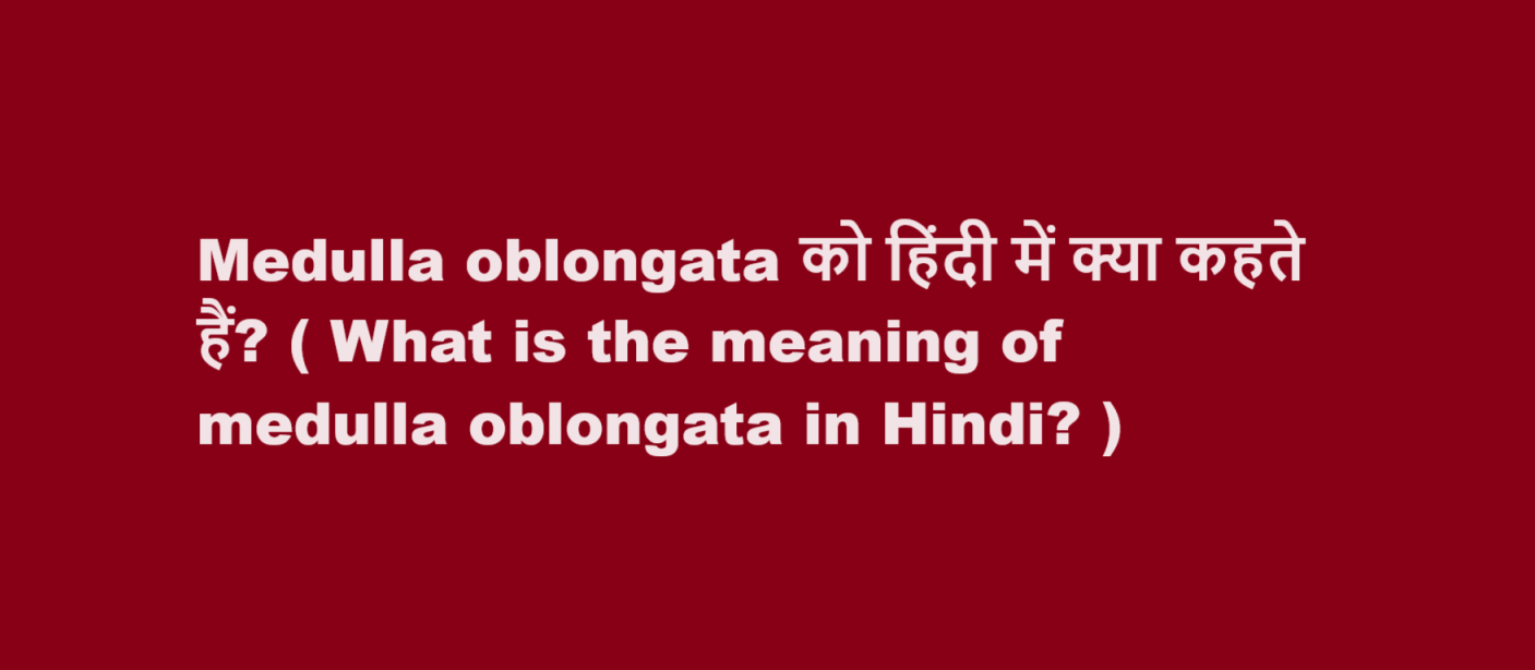 Medulla oblongata को हिंदी में क्या कहते हैं? ( What is the meaning of medulla oblongata in Hindi? )